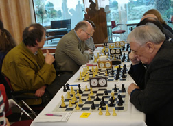 ChessOrg Bild